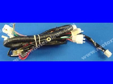 1269659027WIREHARNESS05-PANTHER110LX