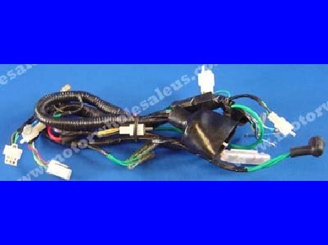 1269659219WIREHARNESS09-JAGUAR125