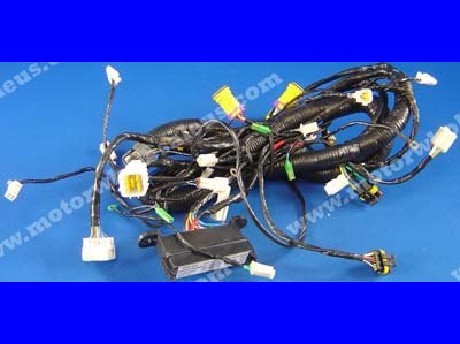 1269659335WIREHARNESS17-PANTHTER400