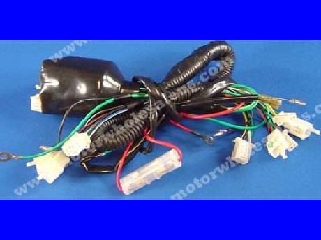 1269660871WIREHARNESS40-PANTHER150UT
