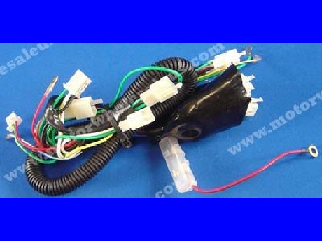 1269660905WIREHARNESS39-JAGUAR150R