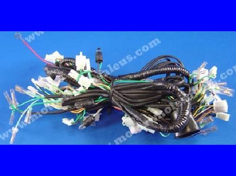 1269661267WIREHARNESS58-MAGNUM50L